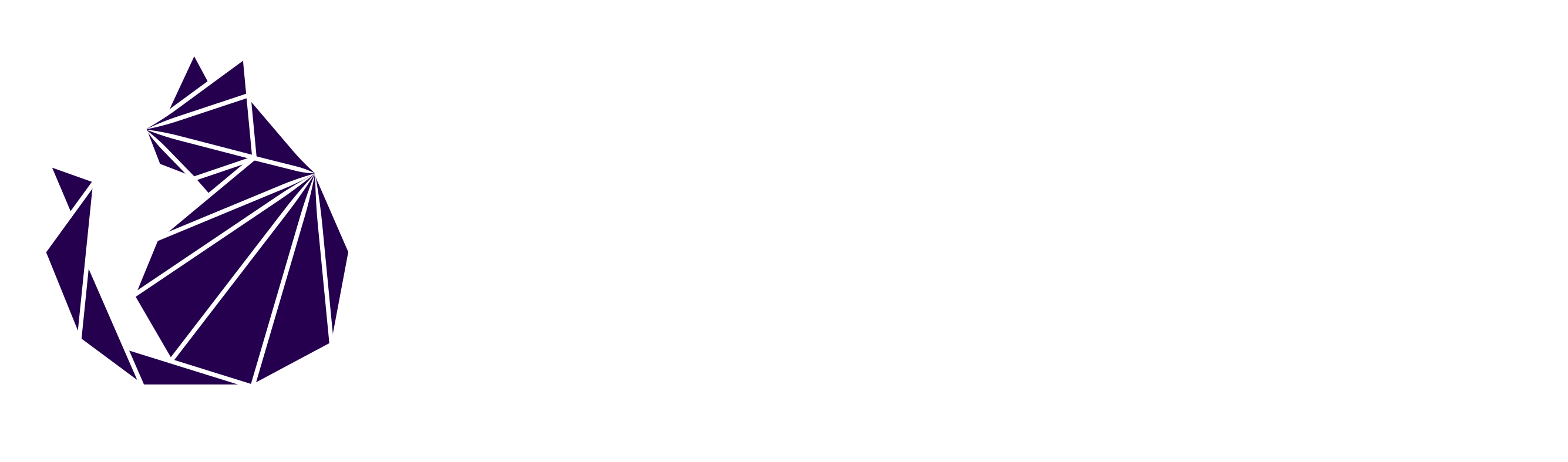 a cat made of lines in a hexagon and the text Colorpoint Data